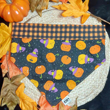 Load image into Gallery viewer, Silly Pumpkins Snap-On Dog Bandana