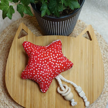 Load image into Gallery viewer, Ladybug Catnip Star Cat Toy
