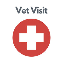 Load image into Gallery viewer, Wiggles and Whiskers Pet Services - Cat Visit