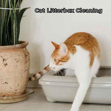 Load image into Gallery viewer, Wiggles and Whiskers Pet Services - Cat Visit