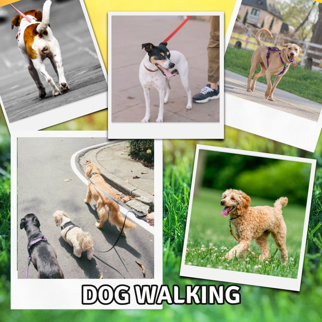 Wiggles and Whiskers Pet Services - Dog Walking