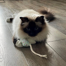 Load image into Gallery viewer, White and brown cat lying down on the floor, looking towards the camera while holding a handmade mouse toy made out of turquoise fabric with different coloured stars on it with a cotton rope tail.