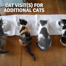 Load image into Gallery viewer, Wiggles and Whiskers Pet Services - Cat Visit