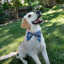 Load image into Gallery viewer, Abstract Teal with Pink Collar Bow. Help your pup put their best paw forward by wearing one of these pretty bows on their collar. Worn to the side, up front or at the back, its versatility makes dressing up an everyday possibility! This collar bow is suitable as a cat collar and a dog collar. Measures 5.5” at its widest point. Made from 100% cotton fabric in a variety of patterns. Fastens to collars up to 1” wide. Elastic and snap fastener. Wiggles and Whiskers Canada Pet Accessories.