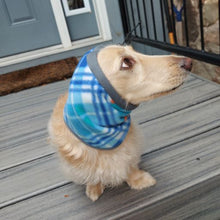 Load image into Gallery viewer, Blue Plaid Dog Snood