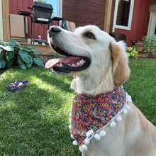 Load image into Gallery viewer, Celebration Snap-On Pet Dog Bandana - 15" to 19" (neck size). This Pet bandana is also suitable for cats. This Snap-On bandana is fully reversible with a realistic looking candy sprinkles fabric on one side, and a coordinating green fabric with tiny white dots on the other (100% cotton) with a pompom trim. Canadian Pet Accessories Company Wiggles & Whiskers