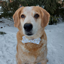 Load image into Gallery viewer, Gold Polka Dot Dog or Cat Bowtie