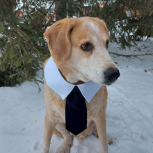 Load image into Gallery viewer, Wholesale Super Cool Collar and Tie Combo