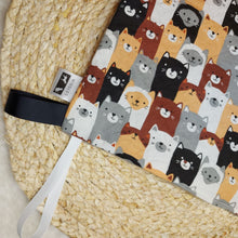 Load image into Gallery viewer, Wholesale Crinkle Squares for Cats