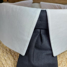 Load image into Gallery viewer, Wholesale Super Cool Collar and Tie Combo