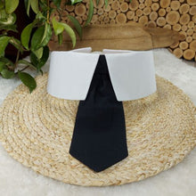 Load image into Gallery viewer, Wholesale Super Cool Collar and Tie Combo