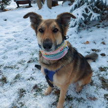 Load image into Gallery viewer, Colourful Reindeer Dog Snood