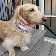 Load image into Gallery viewer, Colourful Reindeer Dog Snood