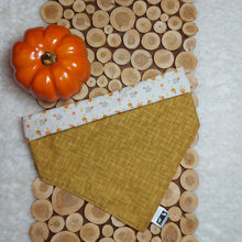 Load image into Gallery viewer, Fall Floral Snap - On Pet Bandana