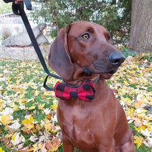 Load image into Gallery viewer, Wholesale Pet Bow Ties - Small and Large