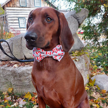 Load image into Gallery viewer, Canada Bowtie for Dogs and Cats