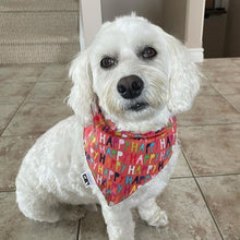 Load image into Gallery viewer, HAPPY Snap-On Pet Bandana