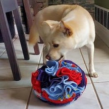 Load image into Gallery viewer, Snuffle Ball Toy