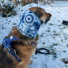 Load image into Gallery viewer, Paisley Dog Snood