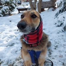 Load image into Gallery viewer, Red Plaid Dog Snood