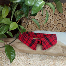 Load image into Gallery viewer, Red and Black Plaid Dapper Pet Collar