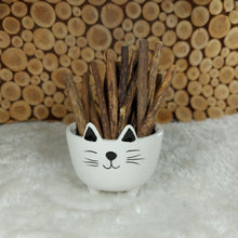 Load image into Gallery viewer, Silvervine Sticks (Better than Catnip !)