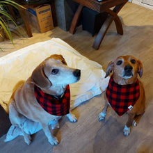 Load image into Gallery viewer, Buffalo Plaid Snap-On Pet Bandana. Over the Collar style Bandana is perfect for dogs and cats on the move because once it’s on it won’t be going anywhere! Slip their collar through the top of the bandana and they can wear it in front, to the side, or at the back. Our bandanas are fully reversible for two different looks – perfect for your style conscious or messy pet. They are also double stitched to last through many washings. Canadian Pet Accessories Company Wiggles & Whiskers