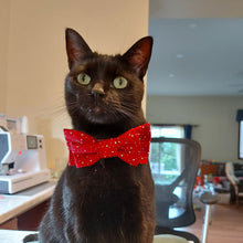 Load image into Gallery viewer, Black cat looking towards camera and wearing a red bowtie.