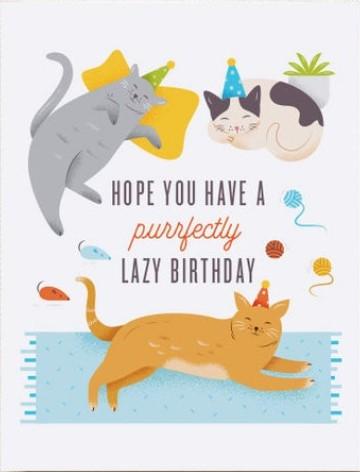 Happy Lazy Birthday Cat Card. This cat birthday card is perfect for any cat lover celebrating a low key birthday with sleeping festive cats on a pillow and rug with two little mice. Wiggles and Whiskers. Pet Accessories Canada.