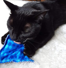 Load image into Gallery viewer, Purrrfect Plaid Catnip Pouches (Set of 2). Wiggles and Whiskers Catnip Pouch. Made in Canada with 100% cotton. Canadian Pet Accessories Company Wiggles & Whiskers