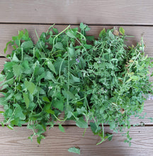 Load image into Gallery viewer, Purrrfect Plaid Catnip Pouches (Set of 2). Canadian Pet Accessories Company Wiggles & Whiskers