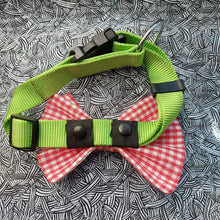 Load image into Gallery viewer, Custom Order - Double Bowties. Whether it is a special occasion, family photos or a visit with friends, our double bowties are sure to impress. Guaranteed to keep their shape and not bend or fold over, these beauties are built to last. Measures 6 niches wide. Custom dog collars Canada. Whiskers and Wiggles Canada Pet Accessories.