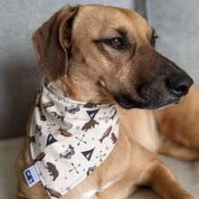 Load image into Gallery viewer, Custom Order - Snap-On Bandanas. Over the Collar style Bandana is perfect for dogs and cats on the move because once it’s on it won’t be going anywhere! Slip their collar through the top of the bandana and they can wear it in front, to the side, or at the back. Our bandanas are fully reversible for two different looks – perfect for your style conscious or messy pet. They are also double stitched to last through many washings. Canadian Pet Accessories Company Wiggles & Whiskers.