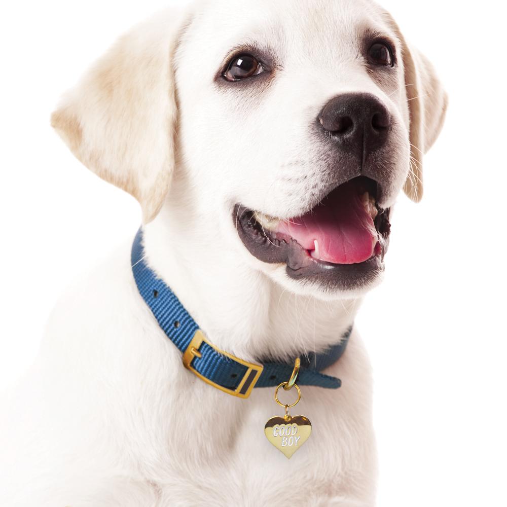 Gold Plated Heart Shaped Good Boy Engraved Pet Tag Wiggles and