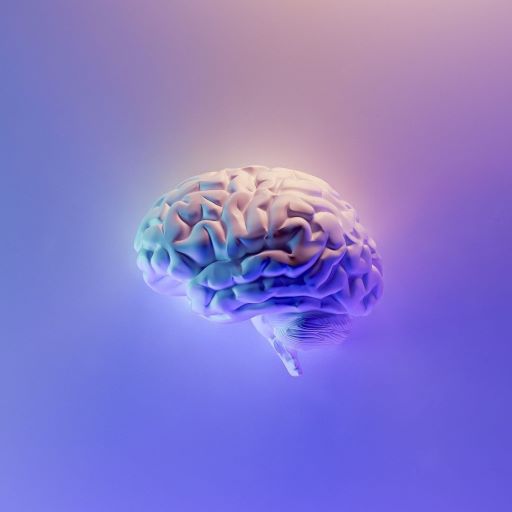 How Running a Small Business is Healing my Brain
