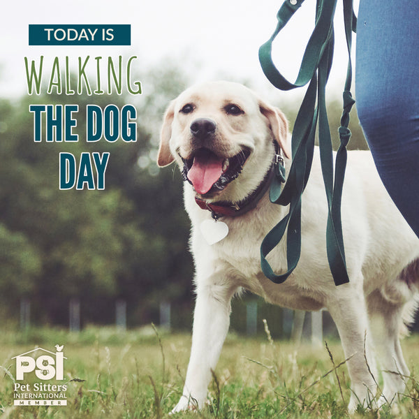 A 'Good' Dog Walk Measured in Sniffs Not Steps
