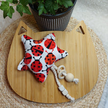 Load image into Gallery viewer, Ladybug Catnip Star Cat Toy
