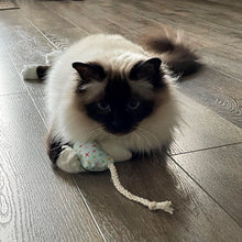 Load image into Gallery viewer, White and brown cat lying down on the floor, looking towards the camera while holding a handmade mouse toy made out of turquoise fabric with different coloured stars on it with a cotton rope tail.
