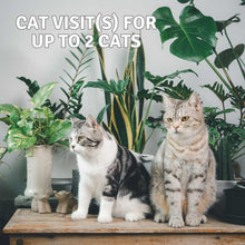 Load image into Gallery viewer, Wiggles and Whiskers Pet Services - Cat Visit
