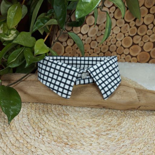 Black and White Dapper Pet Collar