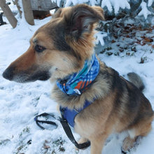 Load image into Gallery viewer, Blue Plaid Dog Snood
