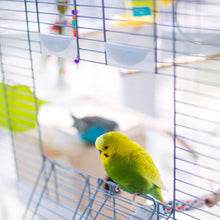 Load image into Gallery viewer, Wiggles and Whiskers Pet Services - Caged Animal Care
