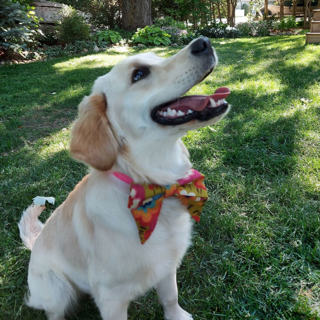 Custom Order - Bows. Help your pup put their best paw forward by wearing one of these pretty bows on their collar. Worn to the side, up front or at the back, its versatility makes dressing up an everyday possibility! This collar bow is suitable as a cat collar and a dog collar.  Measures 5.5” at its widest point. Made from 100% cotton fabric in a variety of patterns. Fastens to collars up to 1” wide. Elastic and snap fastener. Wiggles and Whiskers Canada Pet Accessories.
