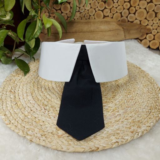 Super Cool Collar and Tie – Wiggles and Whiskers