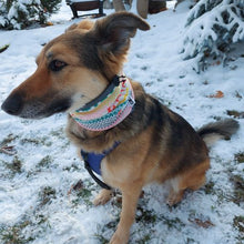 Load image into Gallery viewer, Colourful Reindeer Dog Snood
