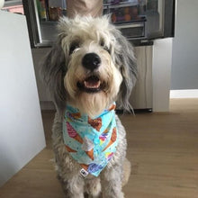 Load image into Gallery viewer, Ice Cream Delight Snap On Pet Bandana
