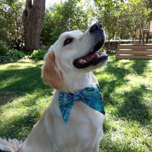 Load image into Gallery viewer, Oceanside Collar Bow. Help your pup put their best paw forward by wearing one of these pretty bows on their collar. Worn to the side, up front or at the back, its versatility makes dressing up an everyday possibility! This collar bow is suitable as a cat collar and a dog collar.  Measures 5.5” at its widest point. Made from 100% cotton fabric in a variety of patterns. Fastens to collars up to 1” wide. Elastic and snap fastener. Wiggles and Whiskers Canada Pet Accessories.
