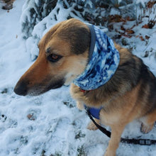 Load image into Gallery viewer, Paisley Dog Snood
