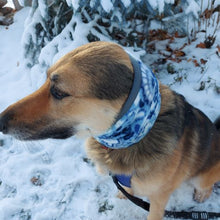 Load image into Gallery viewer, Paisley Dog Snood
