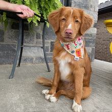 Load image into Gallery viewer, Rio&#39;s Lobster Snap-On Bandana

